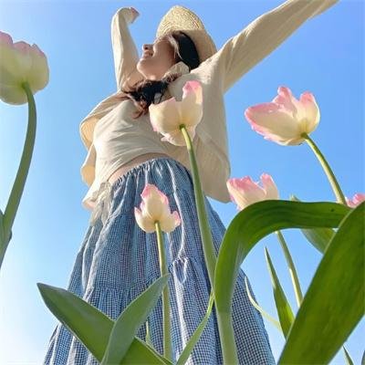太极旗飘扬
